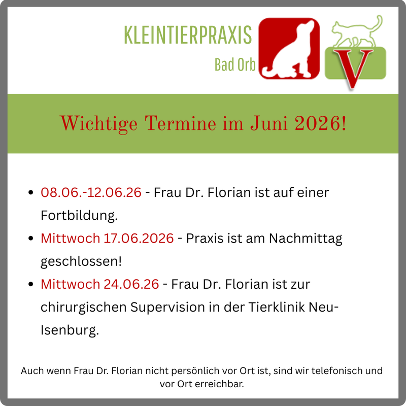 Wichtige Termine für den Juni
