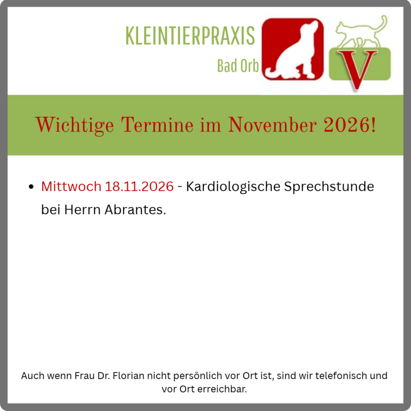 Wichtige Termine für den November
