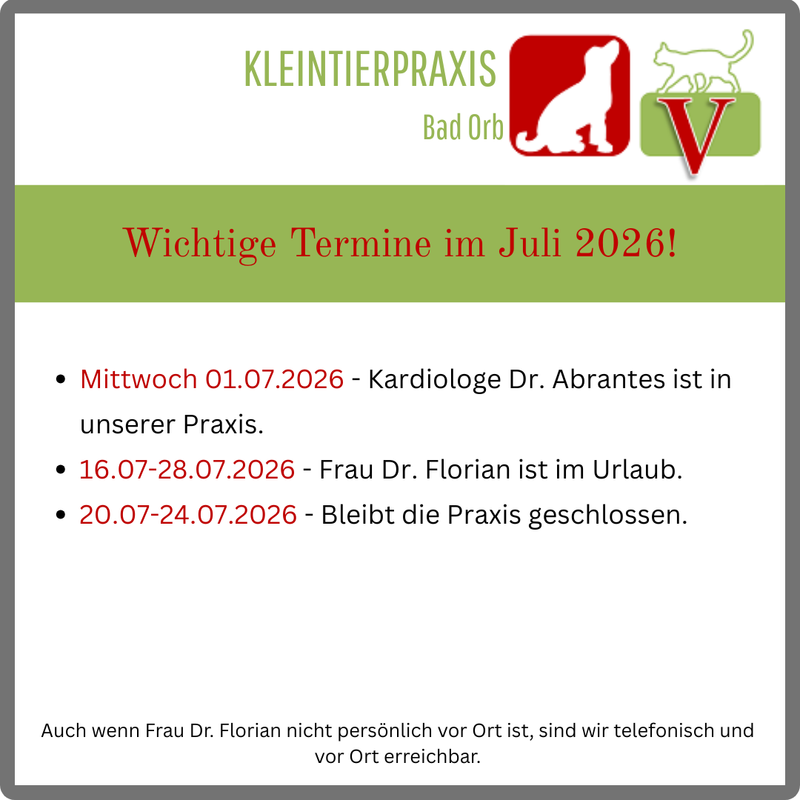 Wichtige Termine für den Juli