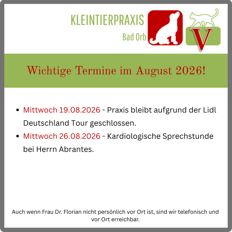 Wichtige Termine für den August