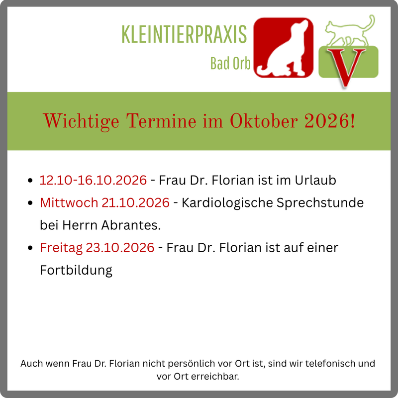 Wichtige Termine für den Oktober