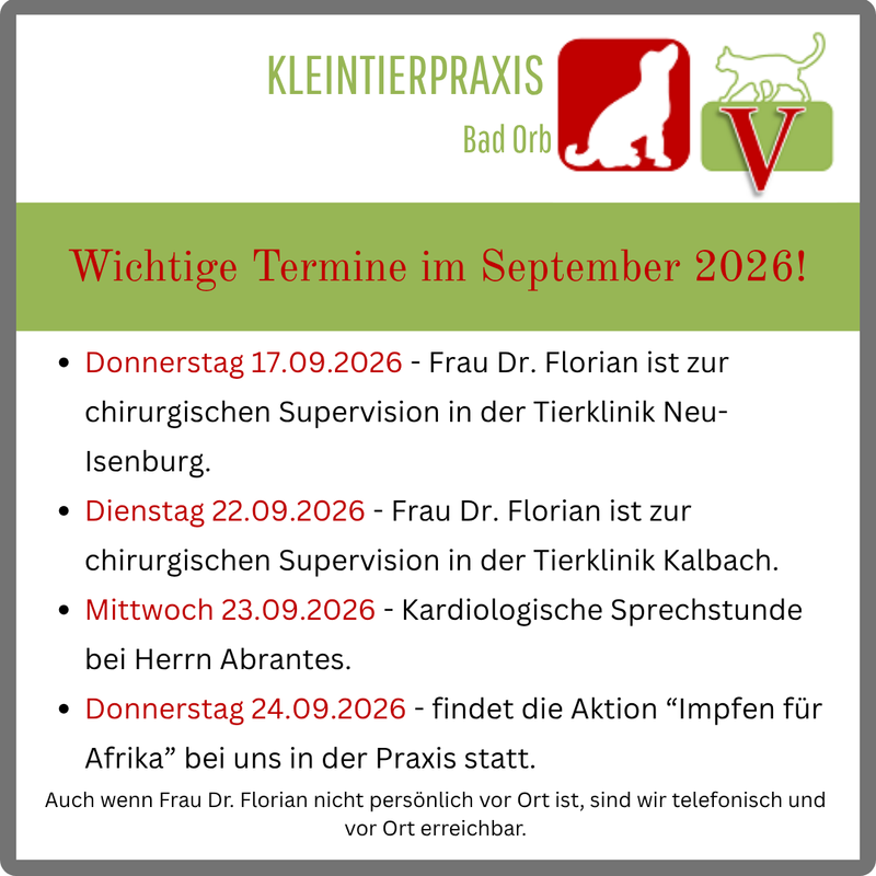 Wichtige Termine für den September